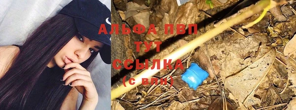 скорость Алексин