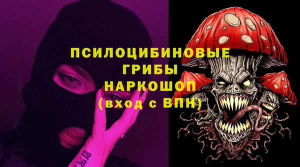 шишки Алзамай