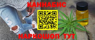 крисы Аргун