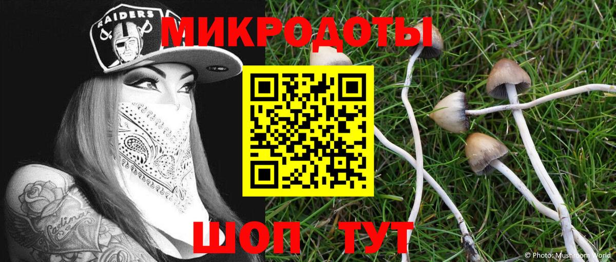 Галлюциногенные грибы Magic Shrooms  Галлюциногенные грибы Cubensis  хочу   Балашиха 