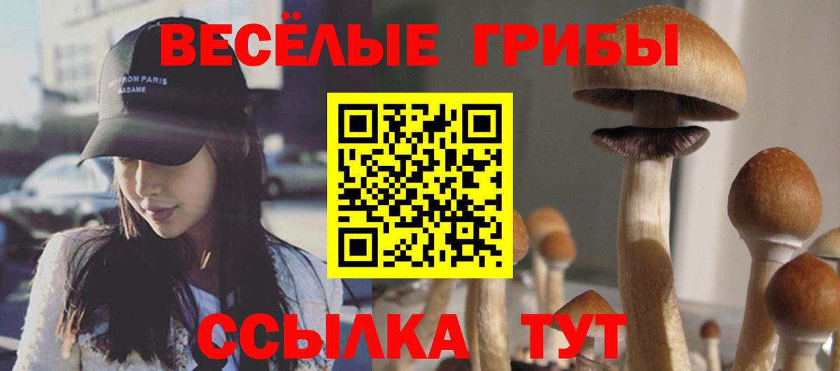 Балашиха  Галлюциногенные грибы Psilocybine cubensis  Вход с VPN  Псилоцибиновые грибы прущие грибы 
